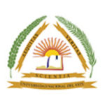Universidad Nacional Del Este